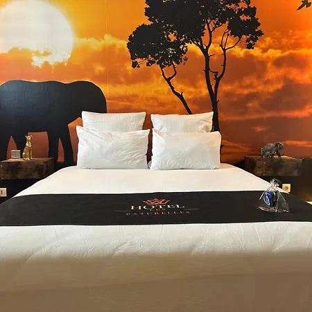 Hotel Les Paturelles